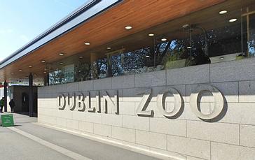 The Morgan Hotel | Dublin | Galerie 18