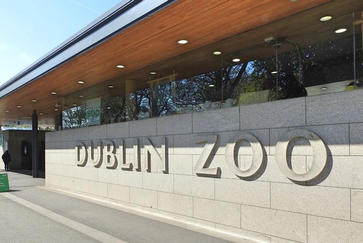 The Morgan Hotel | Dublin | 5