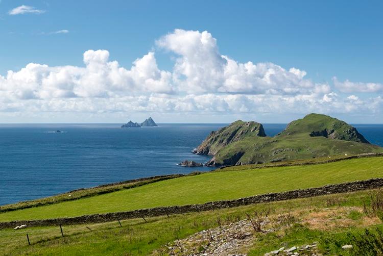 The Morgan Hotel | | 24